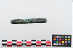 Foto von Bronzeperlarmeif (NHMW-PRAE-024284)